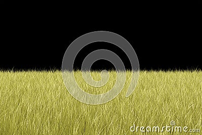 Natural Grass Background Stock Photo