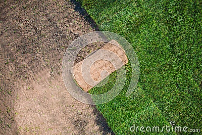 Natural Grass Garden Turfs Stock Photo