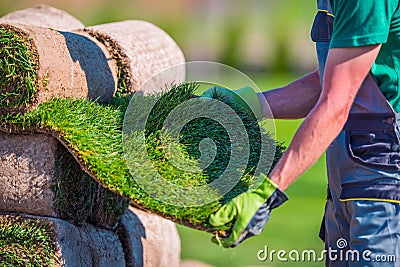 Natural Grass Turf Check Stock Photo