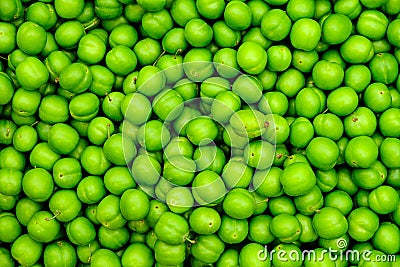 Natural green apricot background Stock Photo