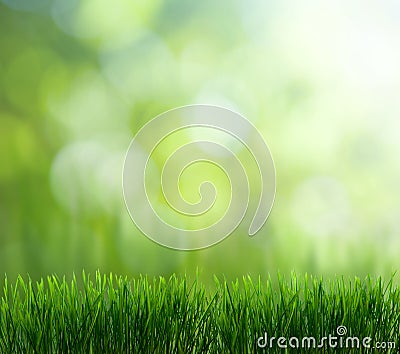 Natural green background Stock Photo