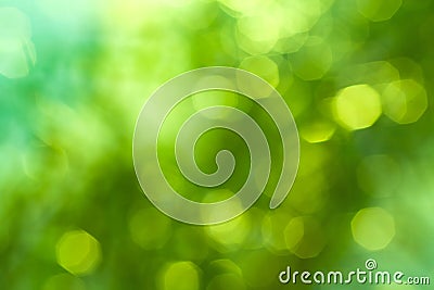 Natural green blurred background Stock Photo