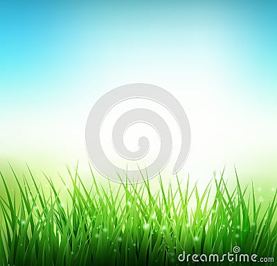 Natural green grass background Vector Illustration