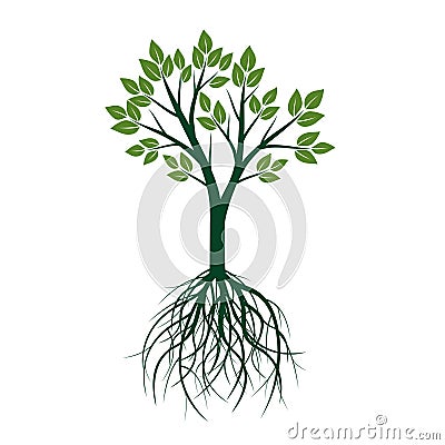 Natural Green Tree with Leafs and Roots. Vector Illustration. Vector Illustration