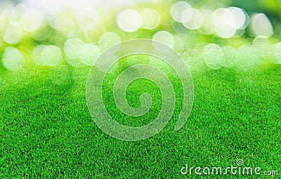 green trimmed grass field Stock Photo