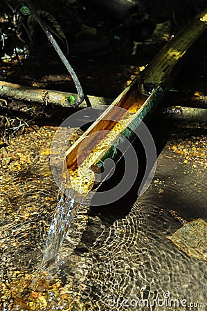 Natural gullet from bamboo Stock Photo