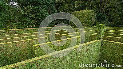 Natural hedge labyrinth maze Stock Photo