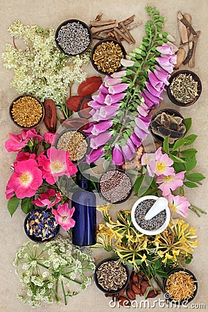 Natural Herb and Flower Collection Stock Photo