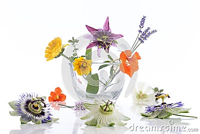 Natural herb and flower selection for herbal medicine Stock Photo