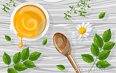 Natural herbal cosmetics yellow colored cream Vector Illustration