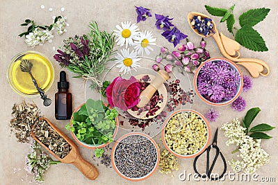 Natural Herbal Medicine Stock Photo