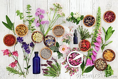 Natural Herbal Medicine Stock Photo