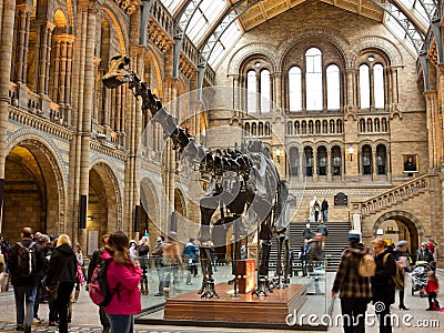 Natural History Museum in London Editorial Stock Photo