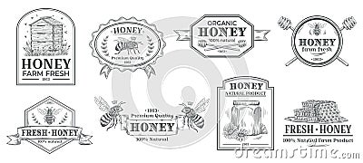 Natural honey badge. Bees farm label, vintage honey product hand drawn badges and bee emblem vector illustration set Cartoon Illustration