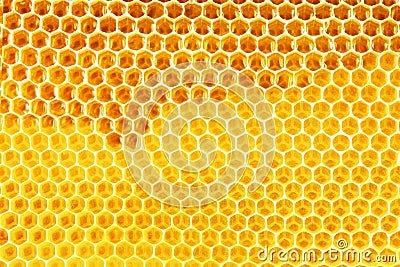 Natural honey in honeycomb background Stock Photo