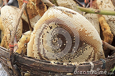 Natural honeycomb in fresh market Stock Photo