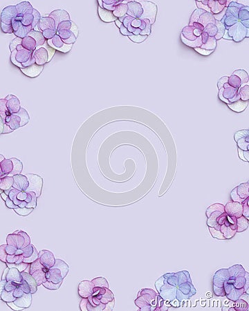 Natural Hydrangea flower, minimal floral frame violet monochrome colored. Layout with fresh flowers. Spring holiday Stock Photo