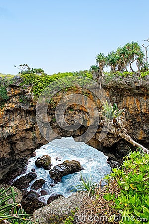 Natural land bridge Hufangalupe on the southern part of Tongatapu island in Tonga Stock Photo