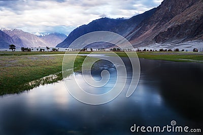 Natural landscape in Nubra valley Stock Photo