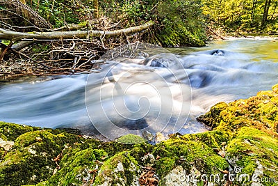 Natural Landscapes in the Forest, River and Waterfall in Vintgar Gorge near Bled Lake, Slovenia Stock Photo