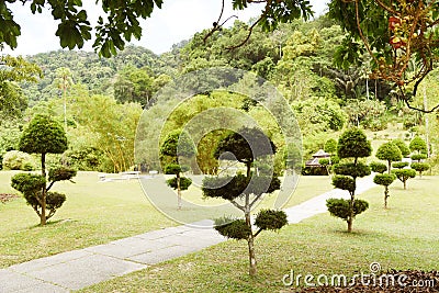 Natural landscaping in garden Stock Photo