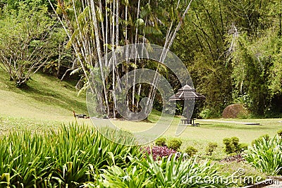 Natural landscaping in garden Stock Photo