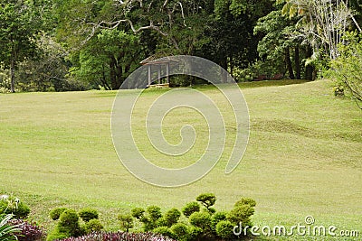 Natural landscaping in garden Stock Photo