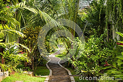 Natural landscaping in home garden Stock Photo