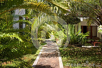 Natural landscaping in a tropical hotel Stock Photo