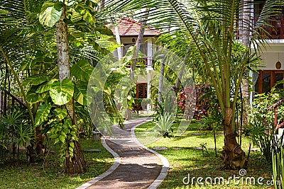 Natural landscaping with the stone path in a tropical hotel Stock Photo