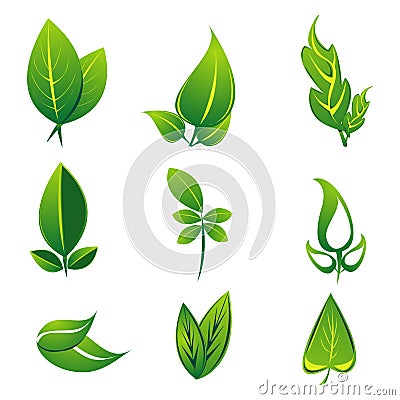 Natural leaf Vector Illustration