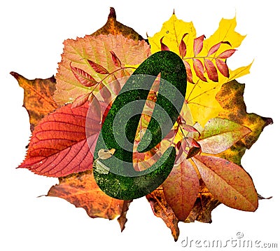 Natural leaf letter l, vibrant color alphabet, isolated design element, autumn colors Stock Photo