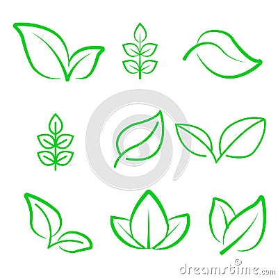 Natural leaf line icon. Young leaves of plants, forest tree oak, elm and ash leafs and eco green, garden vector isolated outline Vector Illustration