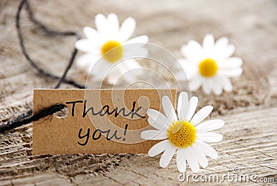 Natural looking label with thank you Stock Photo