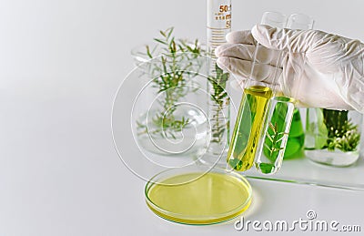 Natural medicine development in laboratory, Scientist researches and experiment green herbal Stock Photo