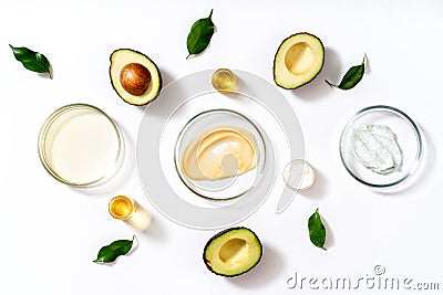 Natural medicine glass labware, petri dishes, cream jars, scrub, aromatic oils. Avocado oil natural cosmetic background Stock Photo