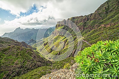 Natural mountain scenery - Tenerife Stock Photo