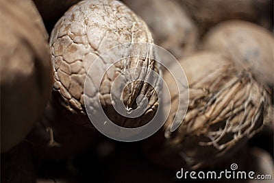 Natural nut. Dark background texture pattern. Abstract walnuts pattern background. Walnuts pattern background. Inshell walnuts. Stock Photo