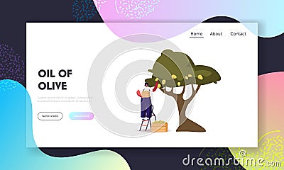 Natural Oil Production Landing Page Template. Woman Collecting Ripe Olives from Branch with Green Berries and Leaves Vector Illustration