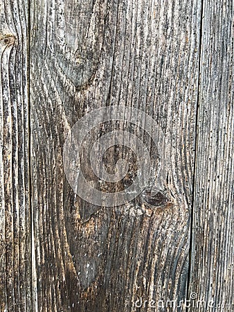 Natural Old wood texture, from very old garden door Stock Photo