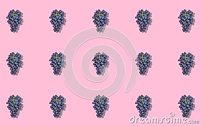 Natural organic black juicy grapes on trend pink background Top View Flat Lay. Rustic Style. Country Village Agriculture concepts Stock Photo