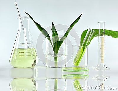 Natural organic botany and scientific glassware, Alternative herb medicine, Natural skin care beauty products Stock Photo