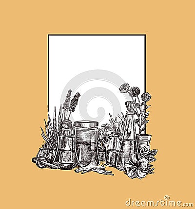 Natural organic botany and scientific glassware, Alternative herb medicine, Natural skin care beauty products Vector Illustration