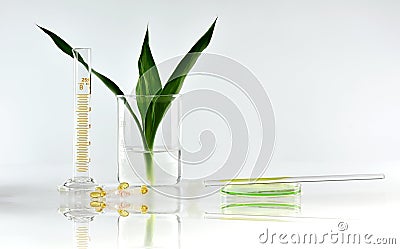 Natural organic botany and scientific glassware, Alternative herb medicine, Natural skin care beauty products Stock Photo