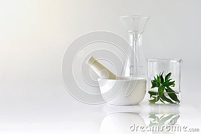 Natural organic botany and scientific glassware, Alternative herb medicine, Natural skin care beauty products. Stock Photo