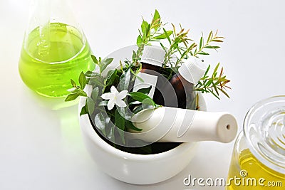 Natural organic botany and scientific glassware, Alternative herb medicine, Natural skin care beauty products. Stock Photo