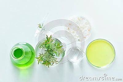 Natural organic botany and scientific glassware, Alternative herb medicine. Stock Photo