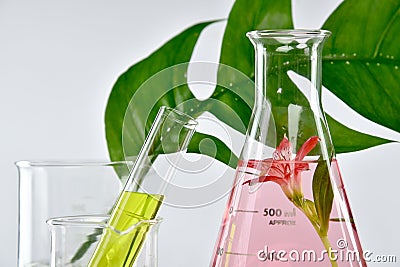 Natural organic extraction and green herbal leaves, Flower aroma essence solution Stock Photo