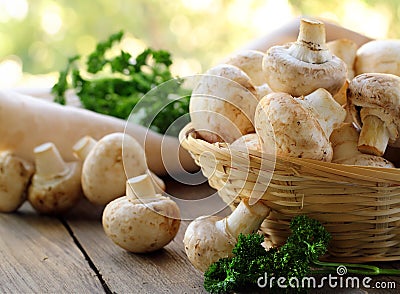 natural organic mushrooms champignons Stock Photo