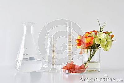 Natural organic and scientific glassware, Alternative herb medicine, Natural skin care beauty products. Stock Photo